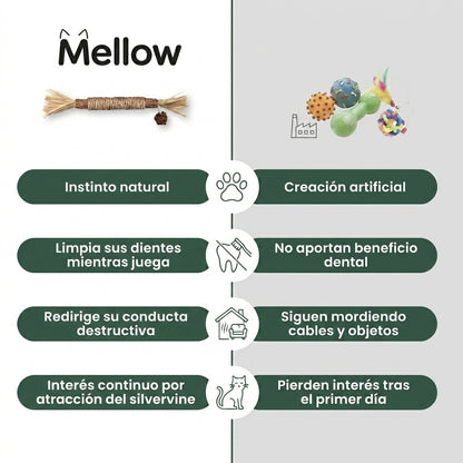 Mellow™  Pack de Sticks Dentales de Silvervine
