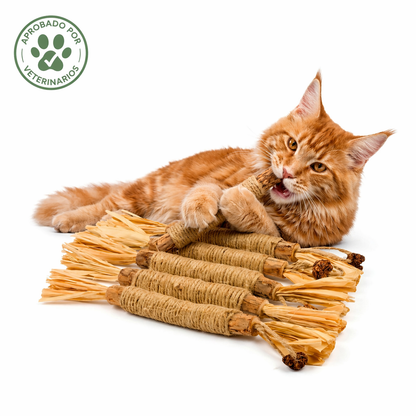 Mellow™  Pack de Sticks Dentales de Silvervine