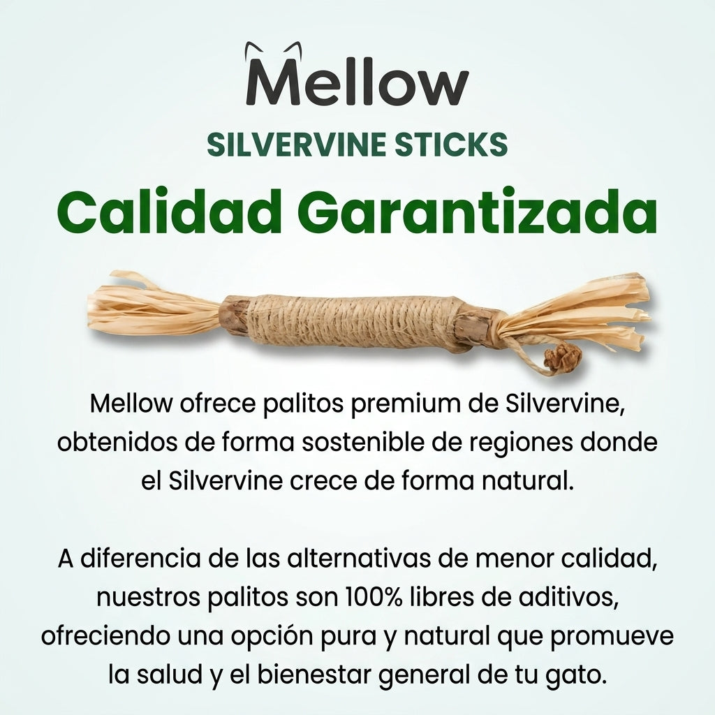 Mellow™  Pack de Sticks Dentales de Silvervine