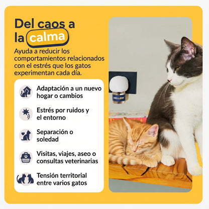 Kit difusor relajante para gatos